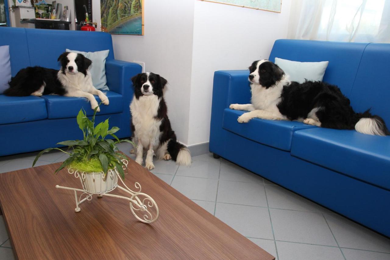 Hotel Marina Roseto degli Abruzzi Kültér fotó