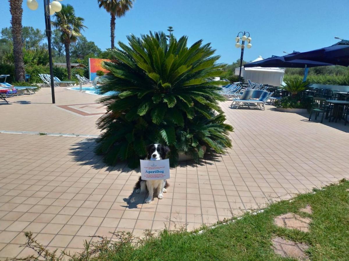 Hotel Marina Roseto degli Abruzzi Kültér fotó