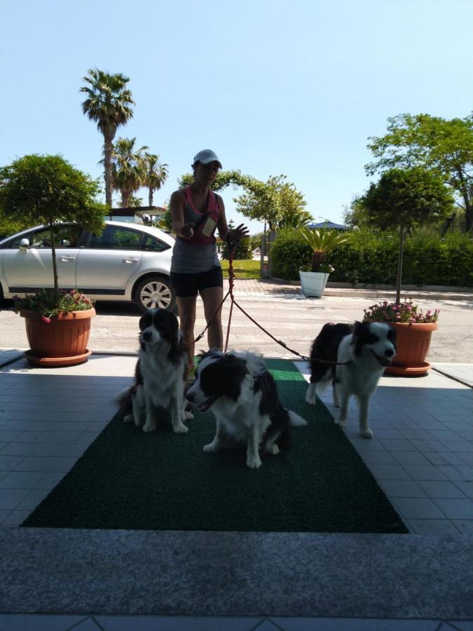 Hotel Marina Roseto degli Abruzzi Kültér fotó